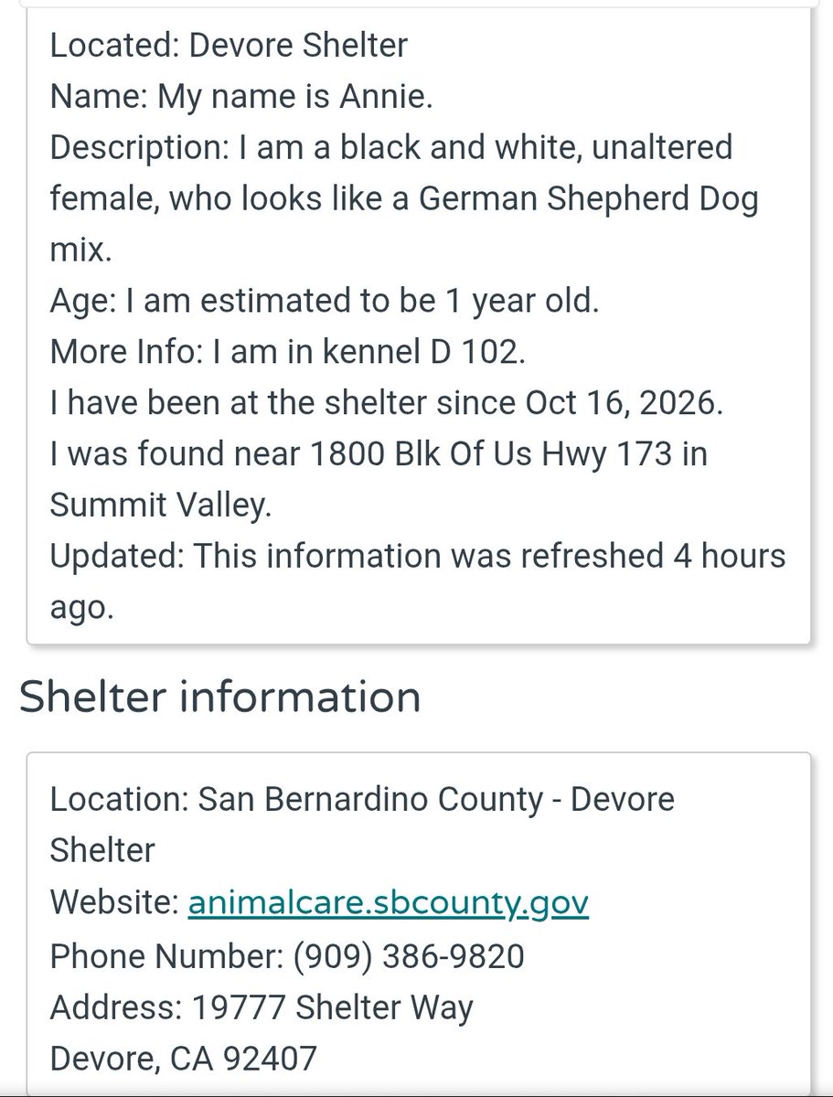 itsadogslifersq's tweet photo. ANNIE #A853673
1yo.listed as #germanshepherd, head shape indicates she could be #GSD #malinois cross
📍#Devore #CA

Stunning all-black beauty who needs your kind guidance to help her navigate this world.
Not on kill list yet = available for shelter foster
https://t.co/QV9X4x6CSJ https://t.co/hf5h5Yua8V