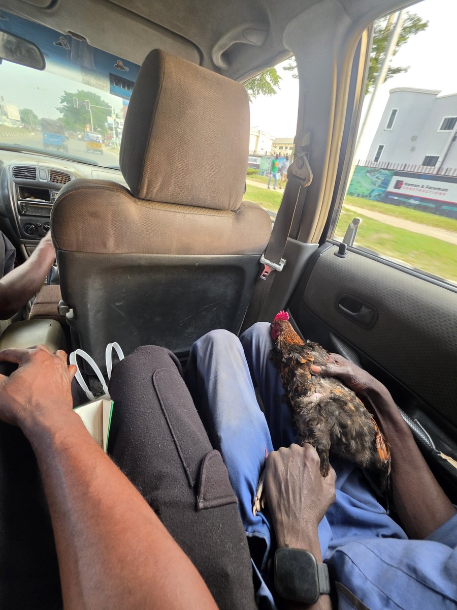 Victorokeke_'s tweet photo. My fellow passenger in this Abuja green taxi boarded with a live chicken https://t.co/oOfPOoHQ2a