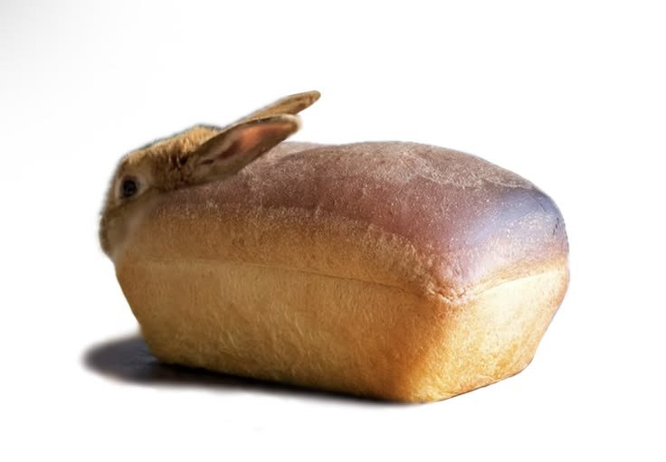 sweetangelette's tweet photo. does anyone want some bread? https://t.co/gSICvxIfRW