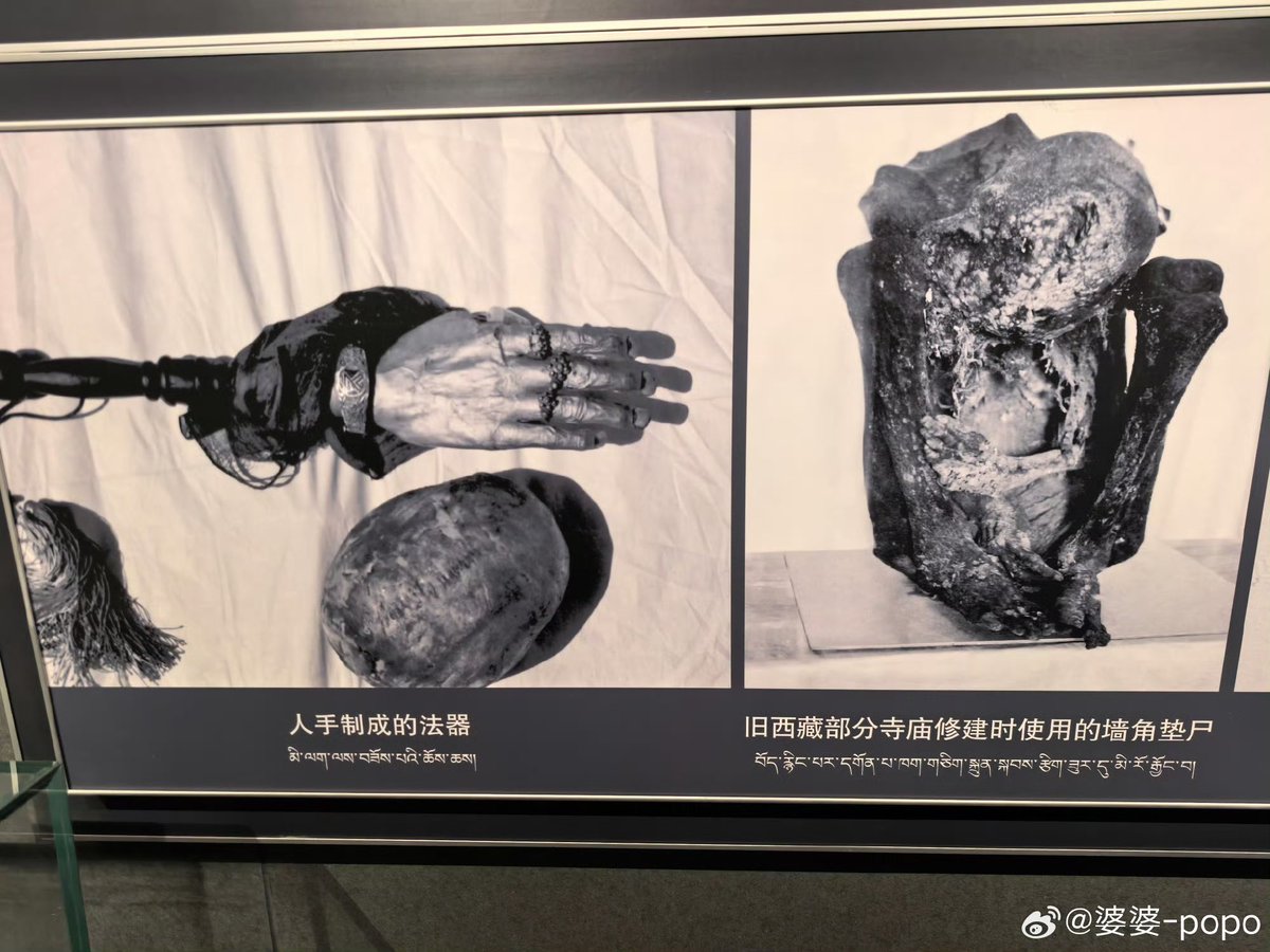 DCLI16's tweet photo. @xioxio1238472 @whyyoutouzhele 看看旧西藏奴隶主的统治有多残暴！95%的农奴和后代永远是奴隶！他们对农奴随意打杀酷刑，挖眼砍四肢剥皮做神器…用他们的活体器官祭祀…只有中国共产党解放了他们，让他们翻身做了有土地的自由人！这世间只有狗娘养的恶魔旧奴隶主余孽，才会攻击抹黑中国政府压迫西藏人民！对，全是狗娘养的！ https://t.co/VL3hbr0dJg