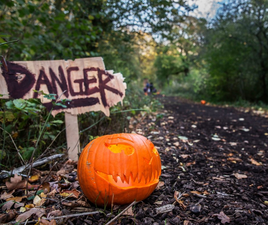 TheParksTrust's tweet photo. Please don't leave your pumpkins in the park this Halloween 🎃

Pumpkins aren't a natural food source for local wildlife and can create mess in our green spaces. Instead, compost them at home or use your garden waste collection🌳 https://t.co/hXVtcOXWaG