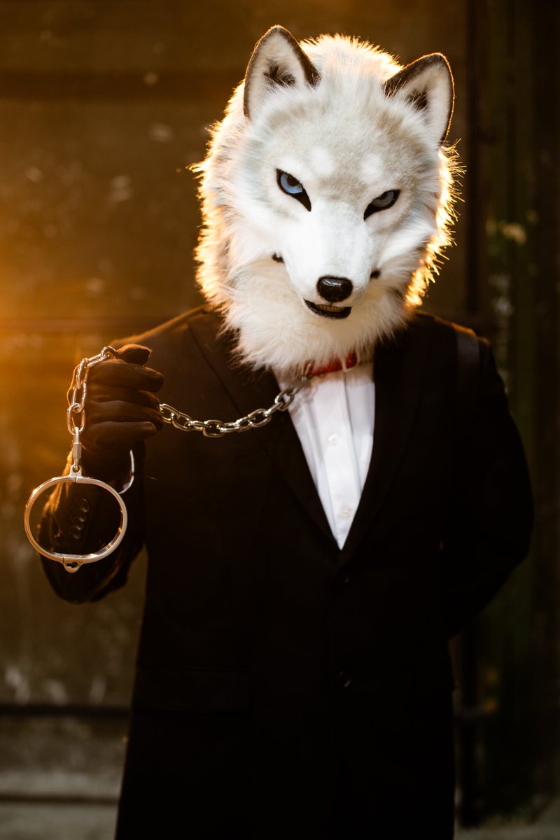 robiCooking's tweet photo. 解放
#獣身売買5
#FurticStudio
📸@wolfroof https://t.co/MUMbVnHiKa