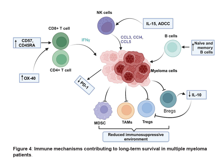 mtmdphd's tweet photo. Molecular and Immunological Determinants of Long-Term Survival in Multiple Myeloma [Jul 17, 2025] Kasomva et al. @BloodPortfolio
https://t.co/lTMclN4Jcn #mmsm #ImmunoOnc #IDonc #LymphoidNeoplasia https://t.co/smF0TPwNXG