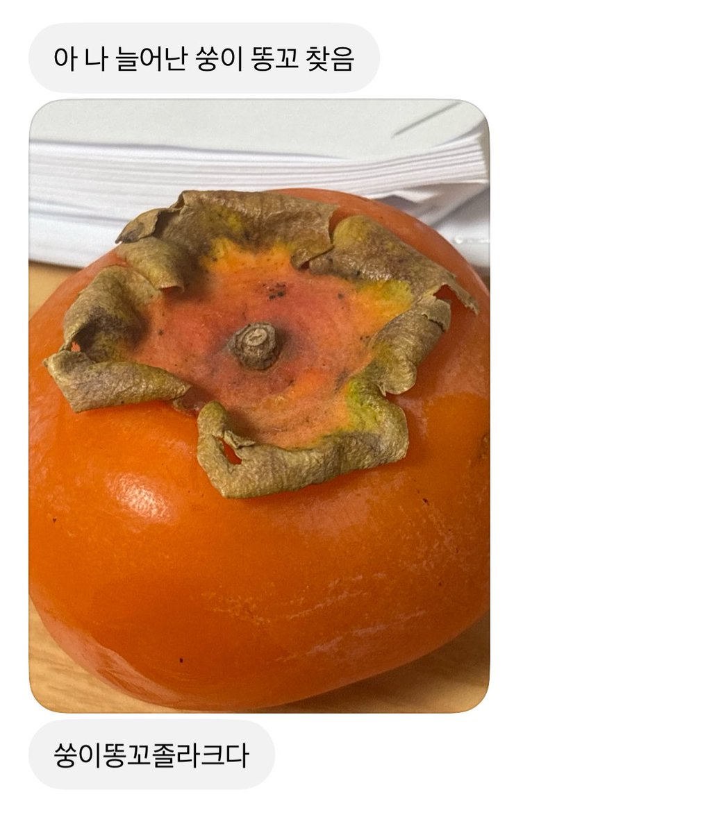 ssung9ii's tweet photo. #쩡떤젴공론화 이미친사람이홍시꼬다리보고제똥꼬라네요 https://t.co/j4EgaUZMLY