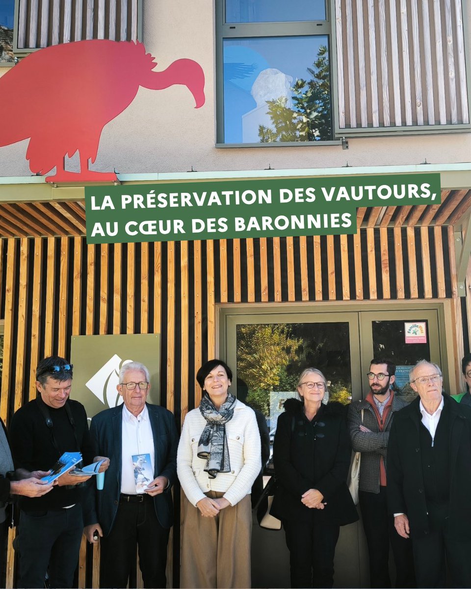 Prefet26's tweet photo. #Environnement | 🦅 À la rencontre des vautours des Baronnies provençales

À la suite du 6e Comité interdépartemental « Vautour fauve et activités d’élevage – Massif alpin », Marie-Aimée Gaspari, préfète de la Drôme et préfète coordinatrice du Plan national d’actions à l’échelle du massif alpin, s’est rendue dans les Baronnies provençales, aux côtés de Christine Hacques, sous-préfète de l’arrondissement de Nyons dans le cadre d'une visite organisée avec l’association Vautours en Baronnies. 
Cette visite de la Maison des Vautours à Rémuzat puis à l'observatoire de Villeperdrix a été l’occasion d’échanger sur les enjeux de conservation de ces espèces et de cohabitation avec les activités d’élevage.

🦅 Disparus de la région, les vautours ont retrouvé leur place dans le ciel drômois grâce aux programmes de réintroduction engagés il y a près de 30 ans. Aujourd’hui, ces rapaces emblématiques contribuent à l’équilibre des écosystèmes montagnards et pastoraux en assurant un rôle d'équarrissage naturel qui contribue à la préservation de l’environnement et à la prévention des risques sanitaires.

👉 Leur préservation repose sur une mobilisation collective associant les acteurs locaux, les éleveurs et les services de l’État, afin de concilier durablement protection de la biodiversité et activités d’élevage.