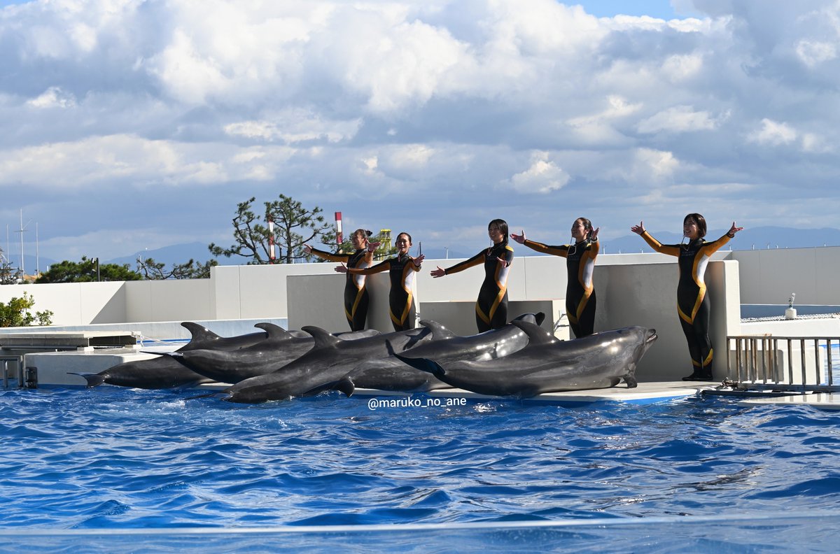 maruane_orca's tweet photo. 10月28日須磨シー

13:00ドルフィンパフォーマンス https://t.co/opdHb4AGCg