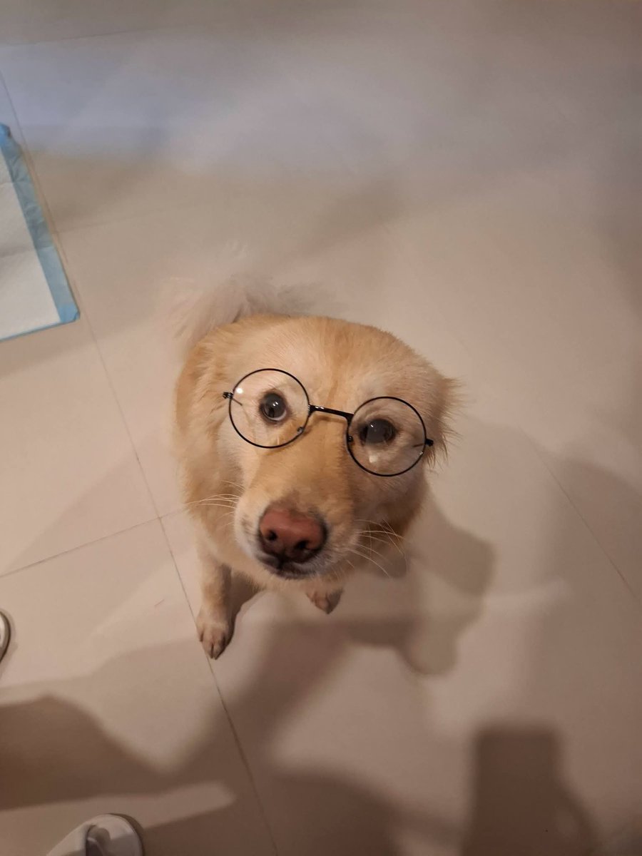 aiahsblue's tweet photo. aiah in specs who?? i only know ninichow 🤓😂 https://t.co/Mt0qy1ok1A