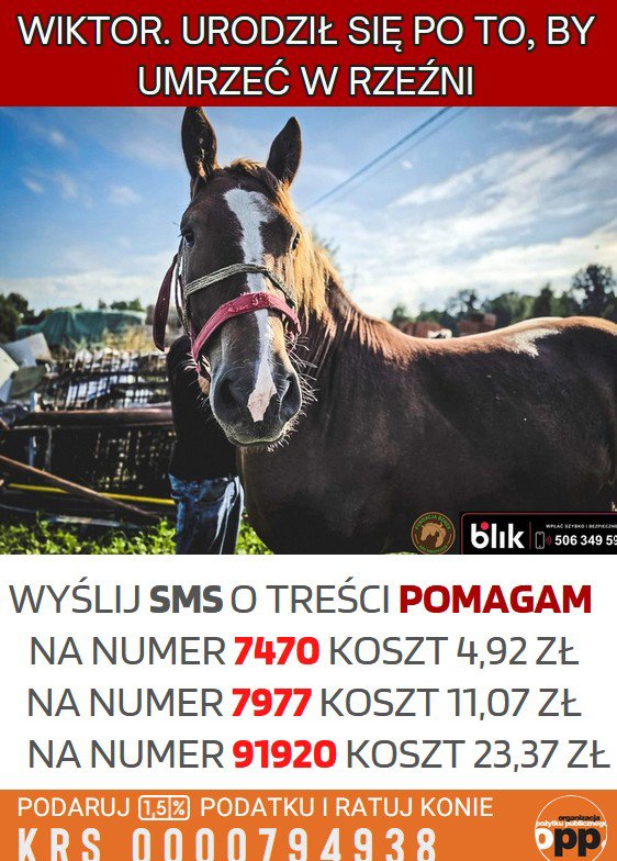 AgnieszkaAgataA's tweet photo. Wiktor chce żyć. Pomóżmy go ocalić https://t.co/n5EwoOIP6s