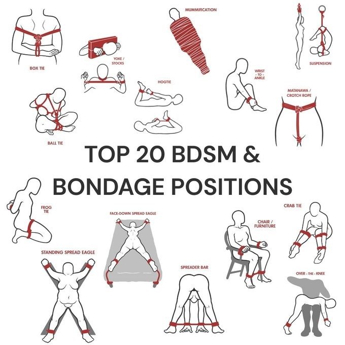 MLordal's tweet photo. Pick one.. https://t.co/BMXXBMpevk