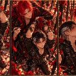 Photo by 鷹見 (@tujiwatari)