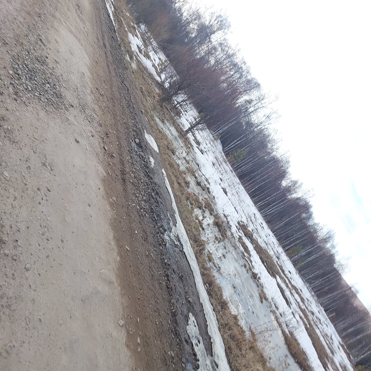 fuel_ernaline's tweet photo. Я сделала эти фотографии неделю назад. https://t.co/ryGbM20ECo