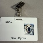 Photo by The Adventures of Beau & Dusty (@BmanBeau)