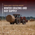 Photo by Texas A&M AgriLife Extension Service (@txextension)