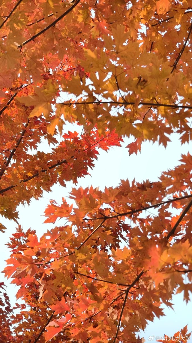 tsaori20's tweet photo. [章謝淮譛？…え、関係ない単語混ざってる？まあ今日はこのまま過ごそ]， https://t.co/4WNgTPRyEG