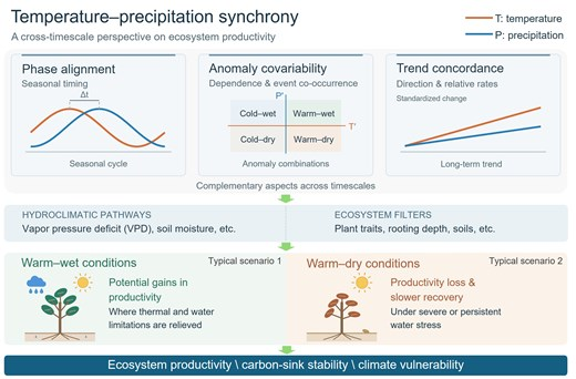 JPlantEcol's tweet photo. 【🎉Latest accepted article】
#Temperature_precipitationsynchrony: A critical perspective on #ecosystemproductivity under #climatechange
#carboncycling | #wateravailability | #compoundextremeevents
@FudanUniversity @MaximumAcademic
https://t.co/DPSlOEJUsP https://t.co/CQVs0LyOw9