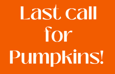 Mata_Library's tweet photo. Thursday, Oct. 29th, will be the end of our Book Character Pumpkin Decorating Contest. Entries must be turned in to the library by 10am. @mataeagles https://t.co/MxWnbi6T2X