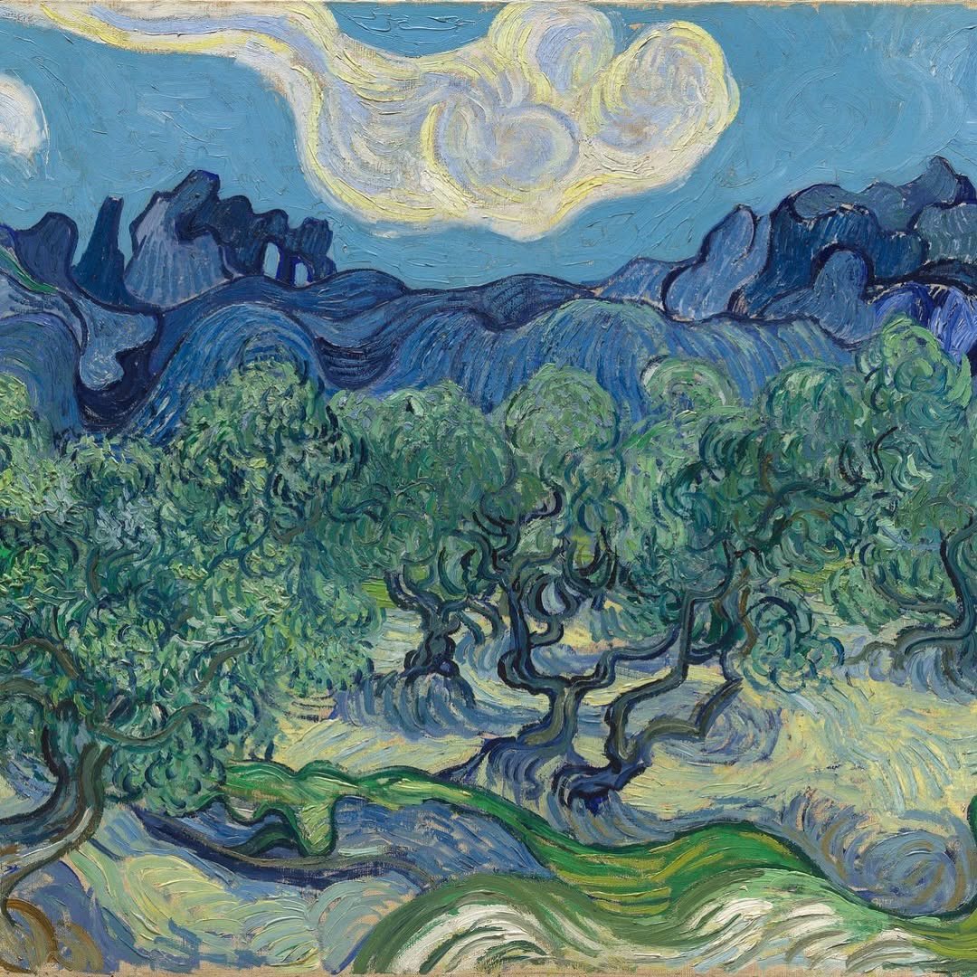 euronationalizt's tweet photo. Olive trees are among my favorite things https://t.co/GKGHKt3pDs