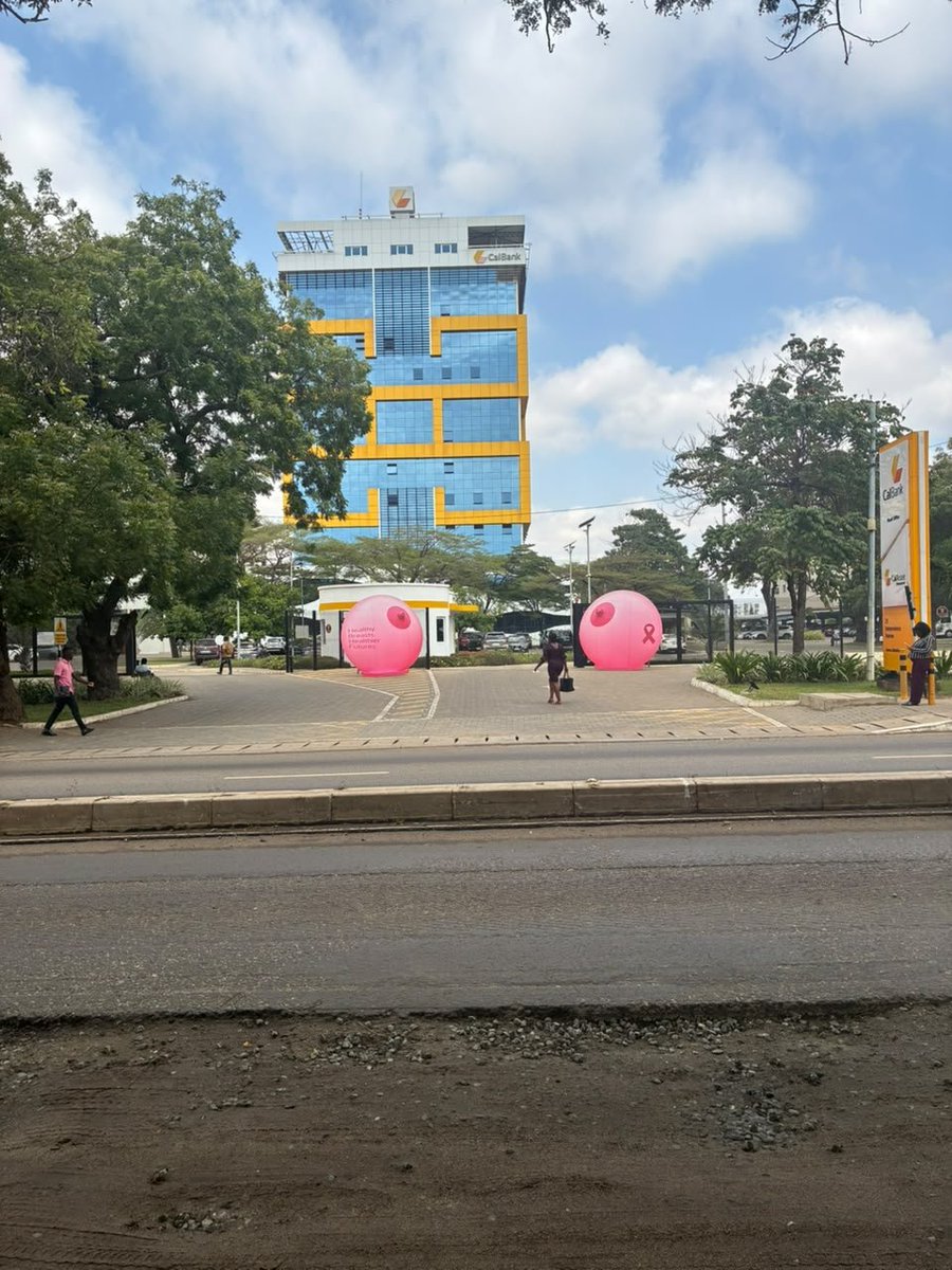 Fab_YDT's tweet photo. From the street to the timeline, CalBank has people talking. May the conversation save lives too. 💗 #CalBankGoesPink https://t.co/U3PQ7p2wHF