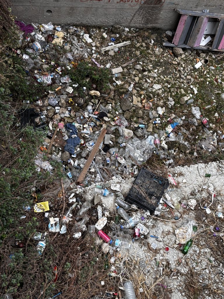 CansuBknr's tweet photo. @KonakBel Barbaros mahallesi hayvanların yuvaları kaldırılınca gerçekten çok hijyenik oldu. Bakar mısınız şu temiz görüntülere!! Bir tek yuvalar hijyen sorunuydu gerçekten!! Asıl sorun vicdanlarınızda, neden yuva gelmiyor bu hayvanlar nereye sığınacak? Yazık günah yahu. @KonakBel https://t.co/t9r95ae0bK