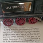Photo by Alejandro P. López (@plopez1969)