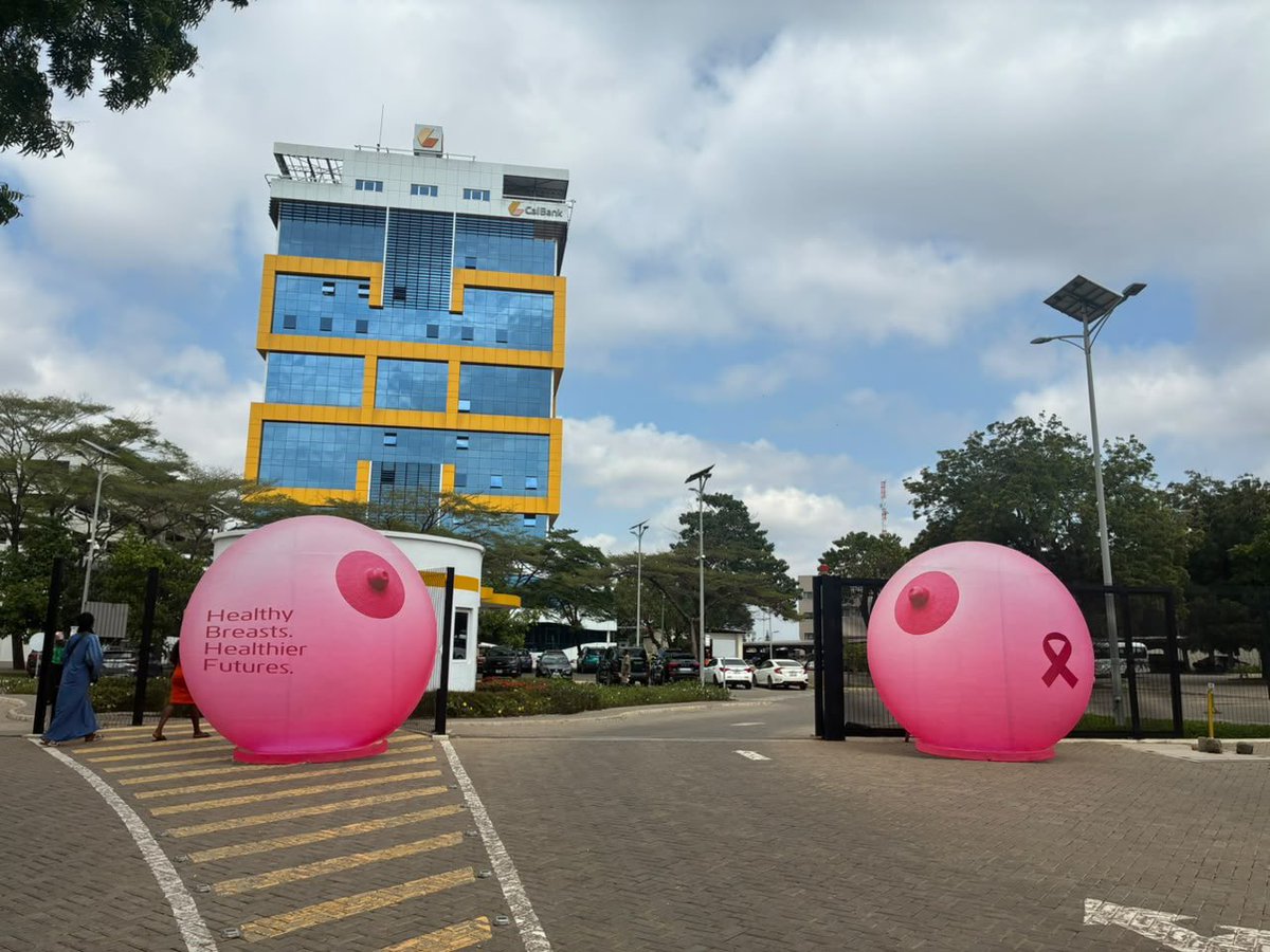 RealestDude_'s tweet photo. Chale, CalBank understood the assignment and went full frontal 😭 Now that they’ve got our eyes, let’s keep talking about breast cancer awareness. #CalBankGoesPink https://t.co/d8eZPvUpqz