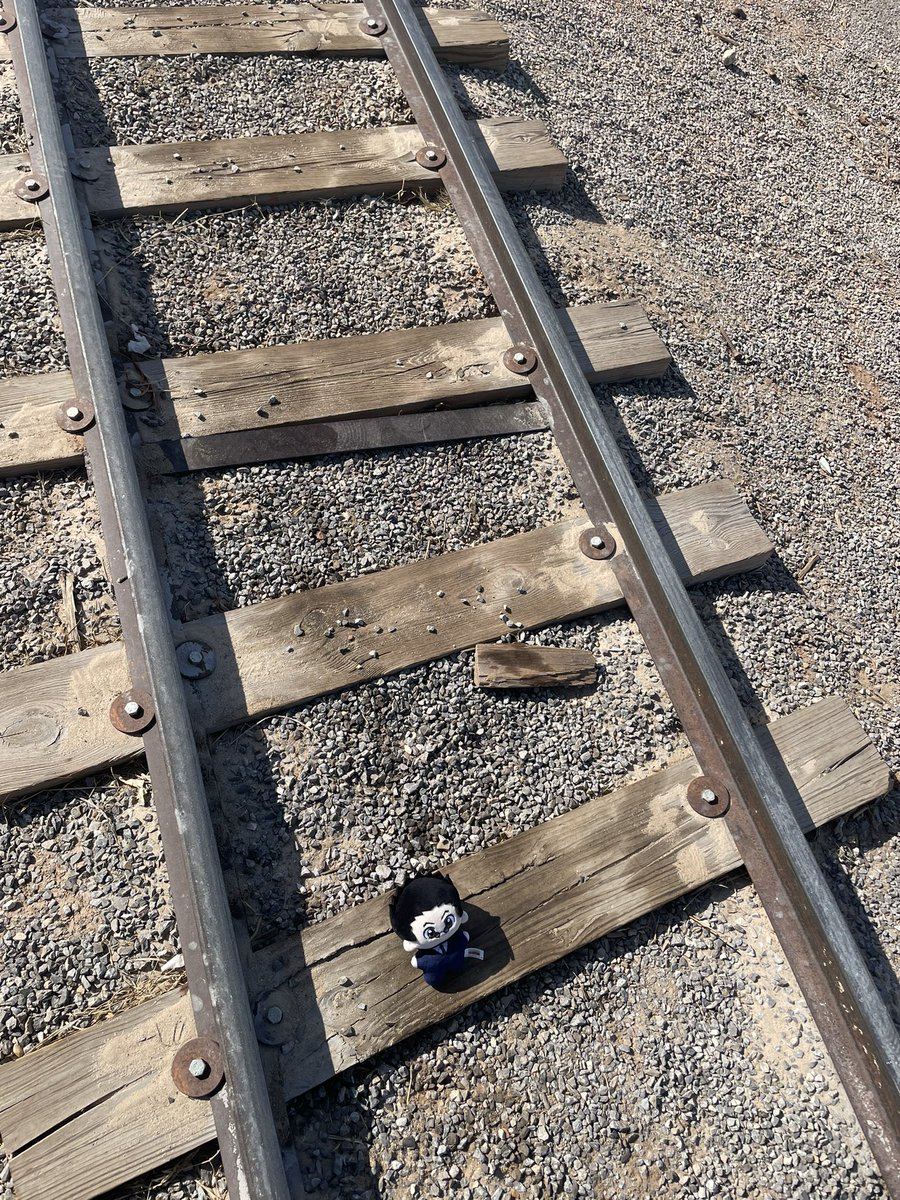 ofthewilderwest's tweet photo. Tying him to the train tracks like an old western and he’s a Southern damsel https://t.co/sinu8OOqy6