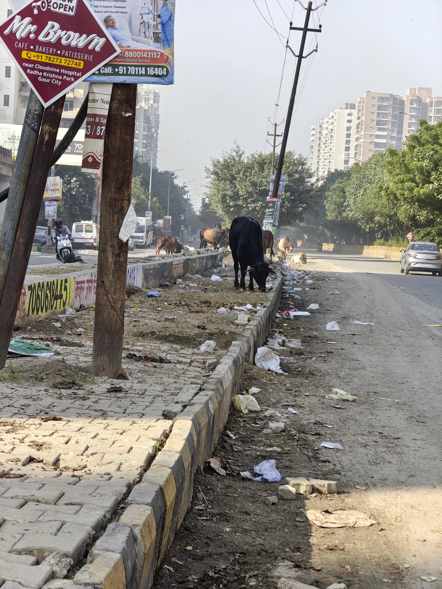 Blasty424's tweet photo. All problems of Indian cities explained in one simple picture https://t.co/oW7RWEUNWP