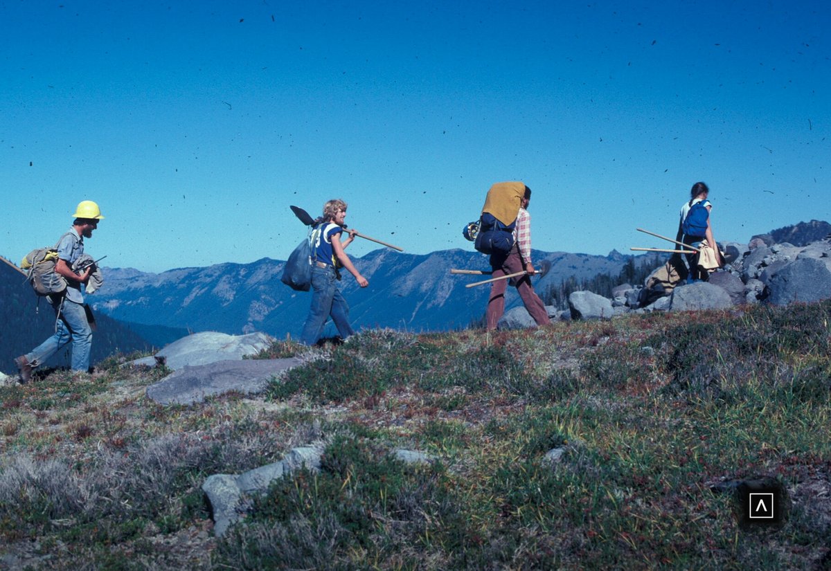 TRACE_'s tweet photo. Sources: Washington's National Park Fund, Funded Projects https://t.co/uRJTYv83fs
WNPF, Resilience in Action (record grants, Meadow Rover radios) https://t.co/X0JuxoMdFR
WNPF, Mount Rainier National Park (visitation) https://t.co/CfexH3U91h
NPS, Fryingpan Creek Bridge and Grove of the Patriarchs updates https://t.co/05SBtW0wac
Support Washington's National Park Fund: https://t.co/XZqlF1Ww49
Reply photo: A park trail crew at work. Photo: Loren Lane, NPS

Read the history of Mount Rainier in my #4 of 64 Mount Rainier article: https://t.co/C7hAVdCkJ3