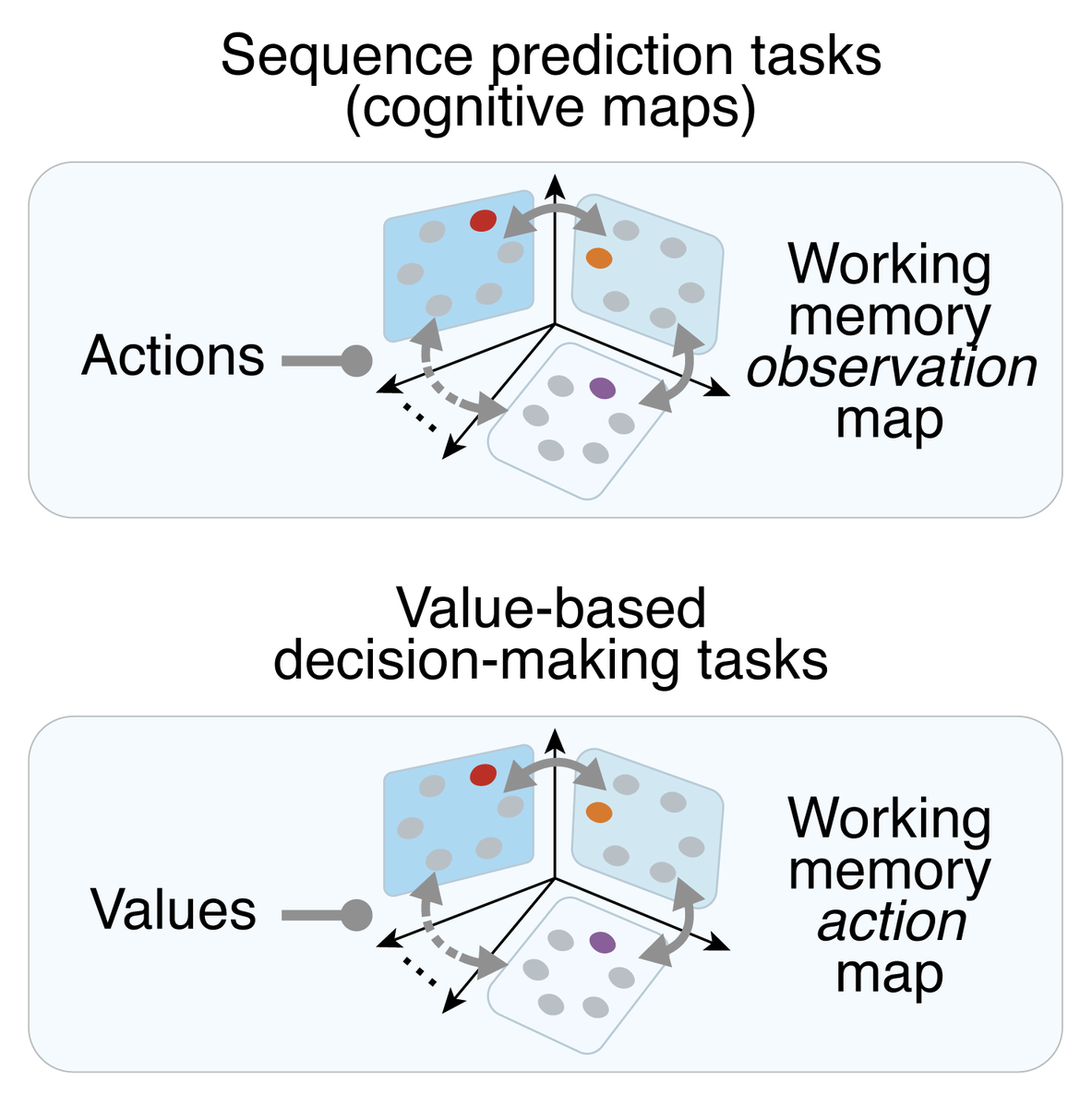 jowarrn's tweet photo. In sum, this model unifies the value &amp; schema accounts of PFC function. Value controls the reorganising of memories-just like how actions do when navigating a cognitive map. Though we studied simple behaviours, we think these primitives might help us understand complex ones 13/14 https://t.co/6SX0UNKZP9