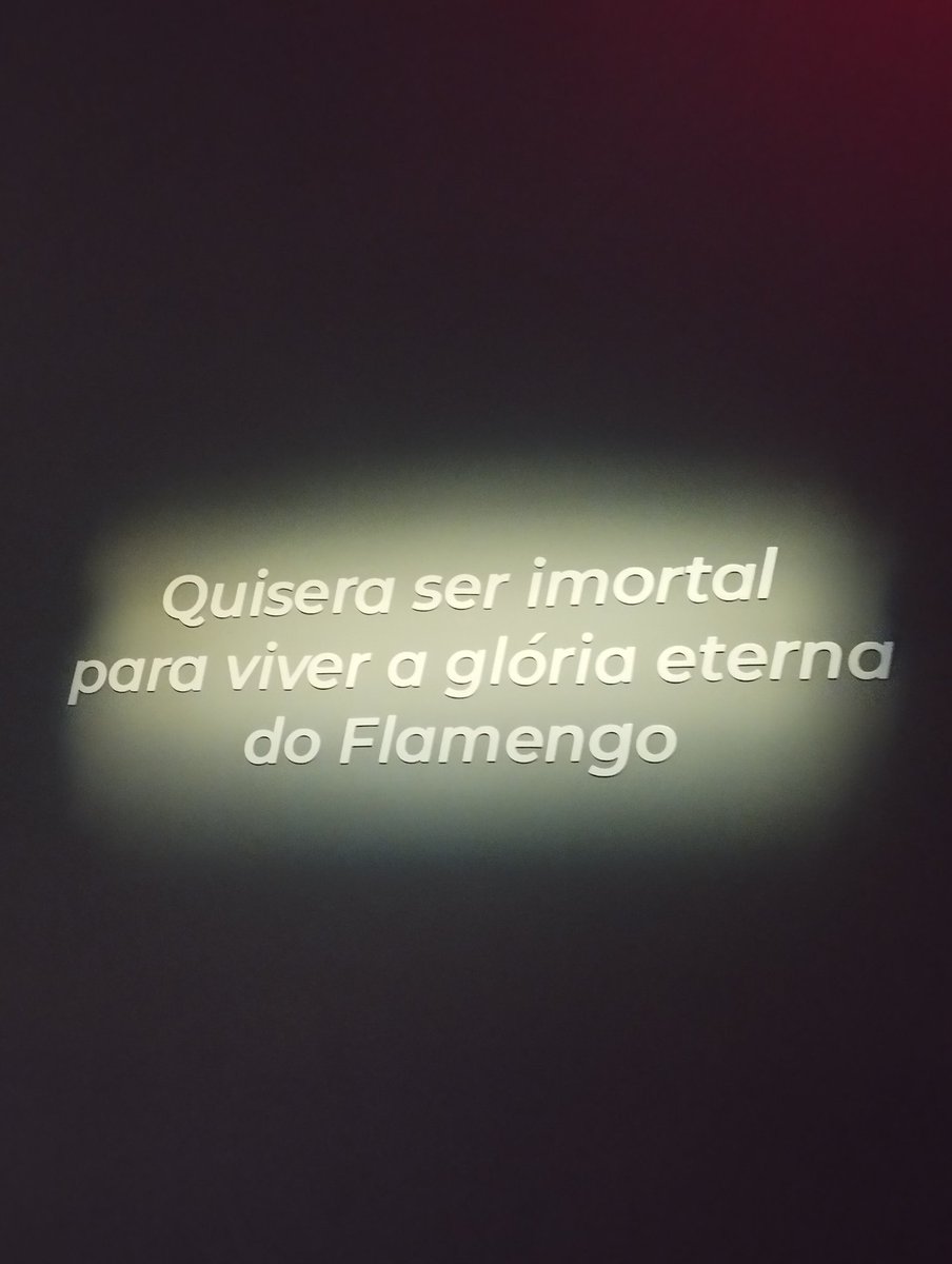 flamengrr's tweet photo. feliz dia do Flamenguista ❤️ https://t.co/6VBvtIJobp