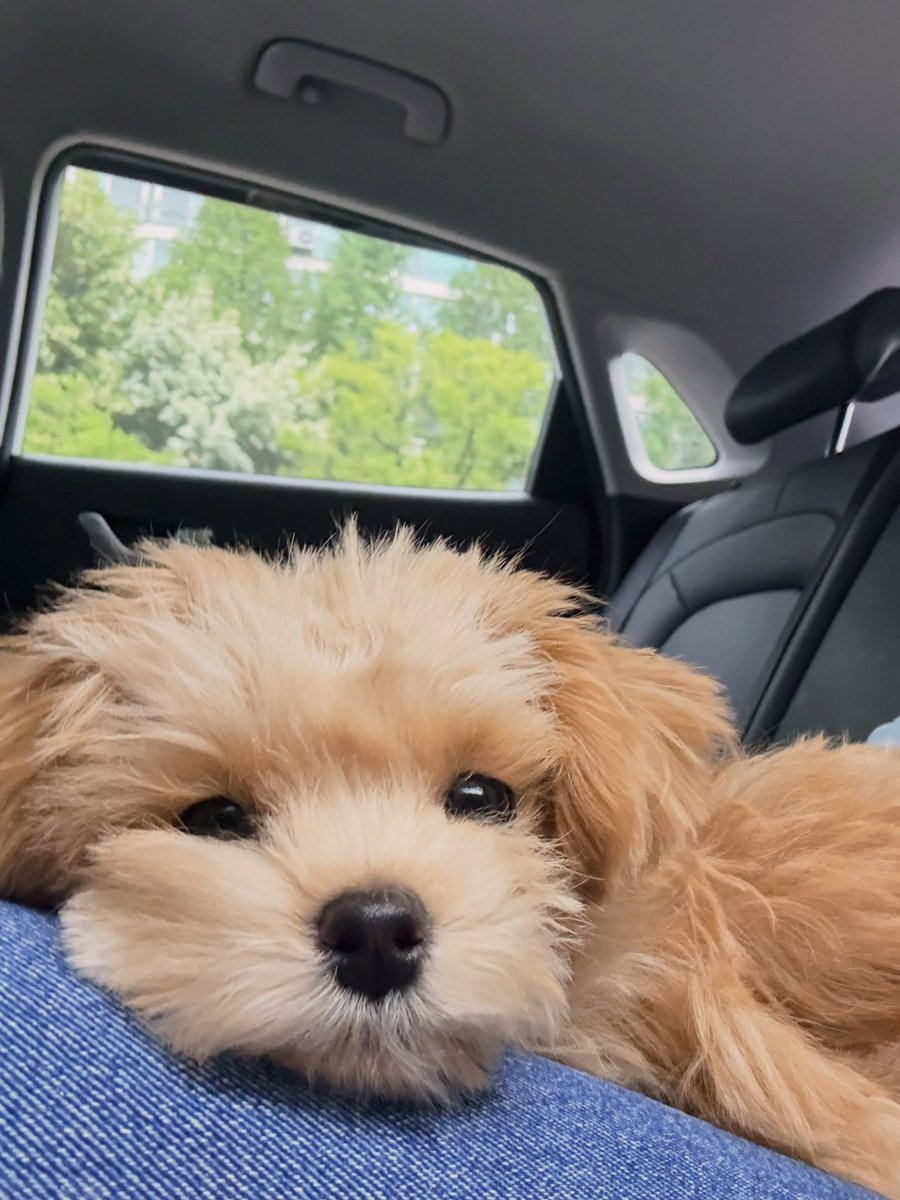 juantokki's tweet photo. hi, i’m miso

🔗https://t.co/ErC9zhv1gQ https://t.co/2vALExj38G