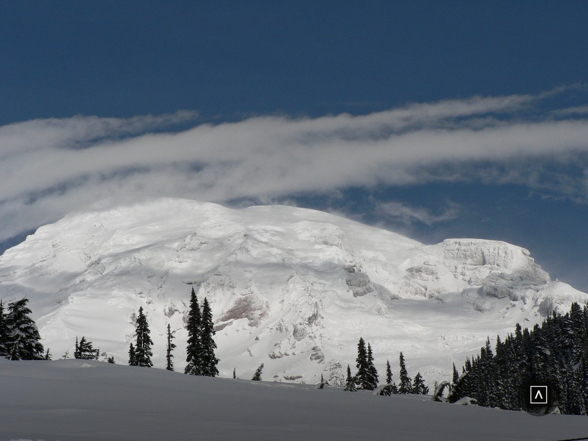 TRACE_'s tweet photo. Mount Rainier National Park https://t.co/6Un9PmM1ic
