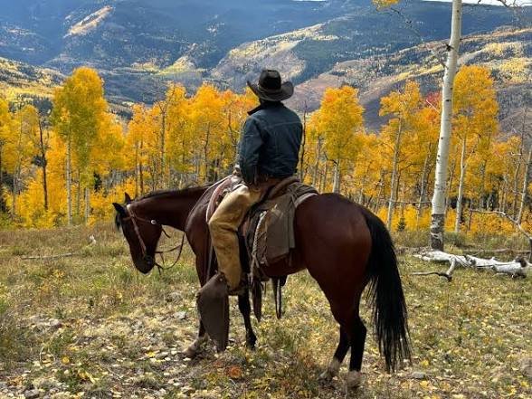 Cowboys_Pray's tweet photo. You all have a fun ride today 🍻🎉 https://t.co/9eY3Hw0GKB