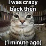Photo by silly cats (@catssilly7)