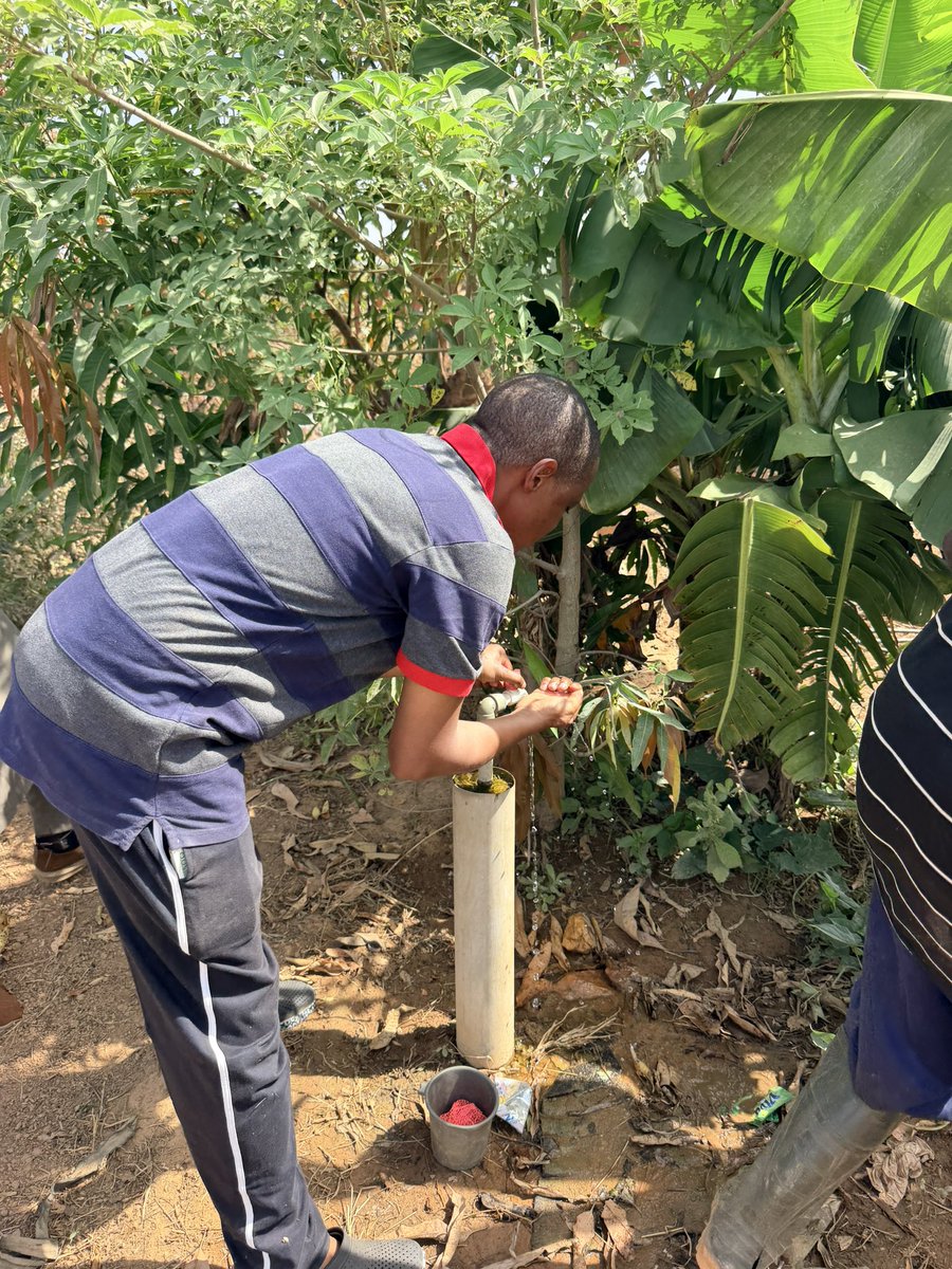 AbuKusada's tweet photo. Yesterday’s work came with sunshine, soil and sweet peppers! 

Spent time on my farm tending crops and joining the harvest. Farming keeps me grounded and deepens my respect for those who feed our nation.

Let’s farm to feed our nation and make Nigeria green and great 👍🏼🇳🇬🍀 https://t.co/VB85juHqTW