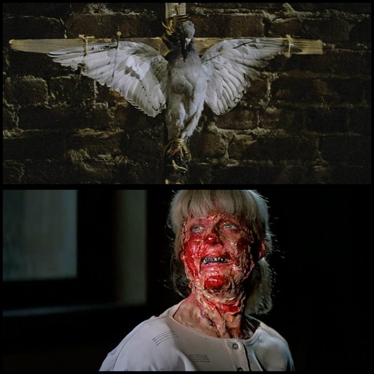 hadrianmarlowe_'s tweet photo. Prince of Darkness is really one of the most underrated horrors ever https://t.co/F01wPLhGBc