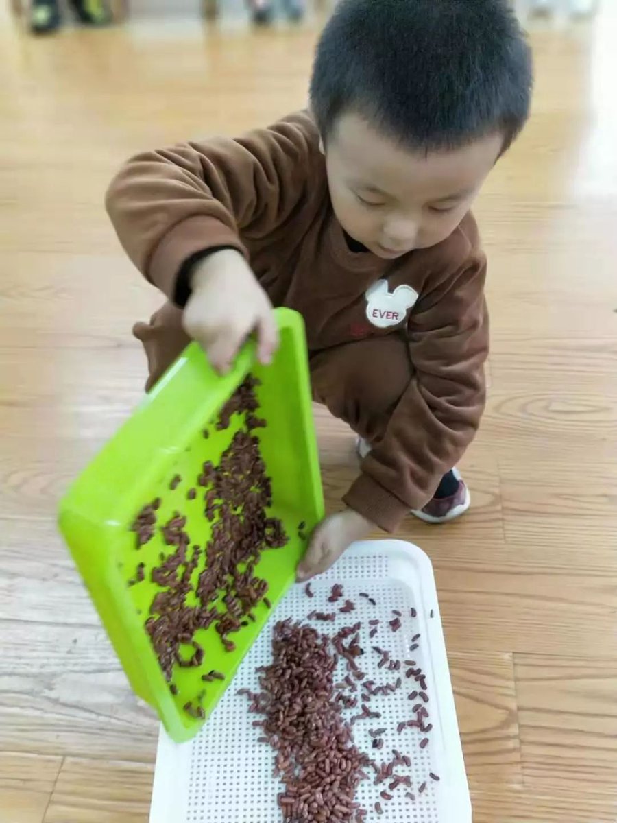 jHdX6zBKxOyQaM3's tweet photo. 「今日は豆を使った療育の講義に参加しました。豆を踏んだり、煮て食べたり、たくさんの発見があり、とても楽しかったです！」， https://t.co/kLUkBmD21y