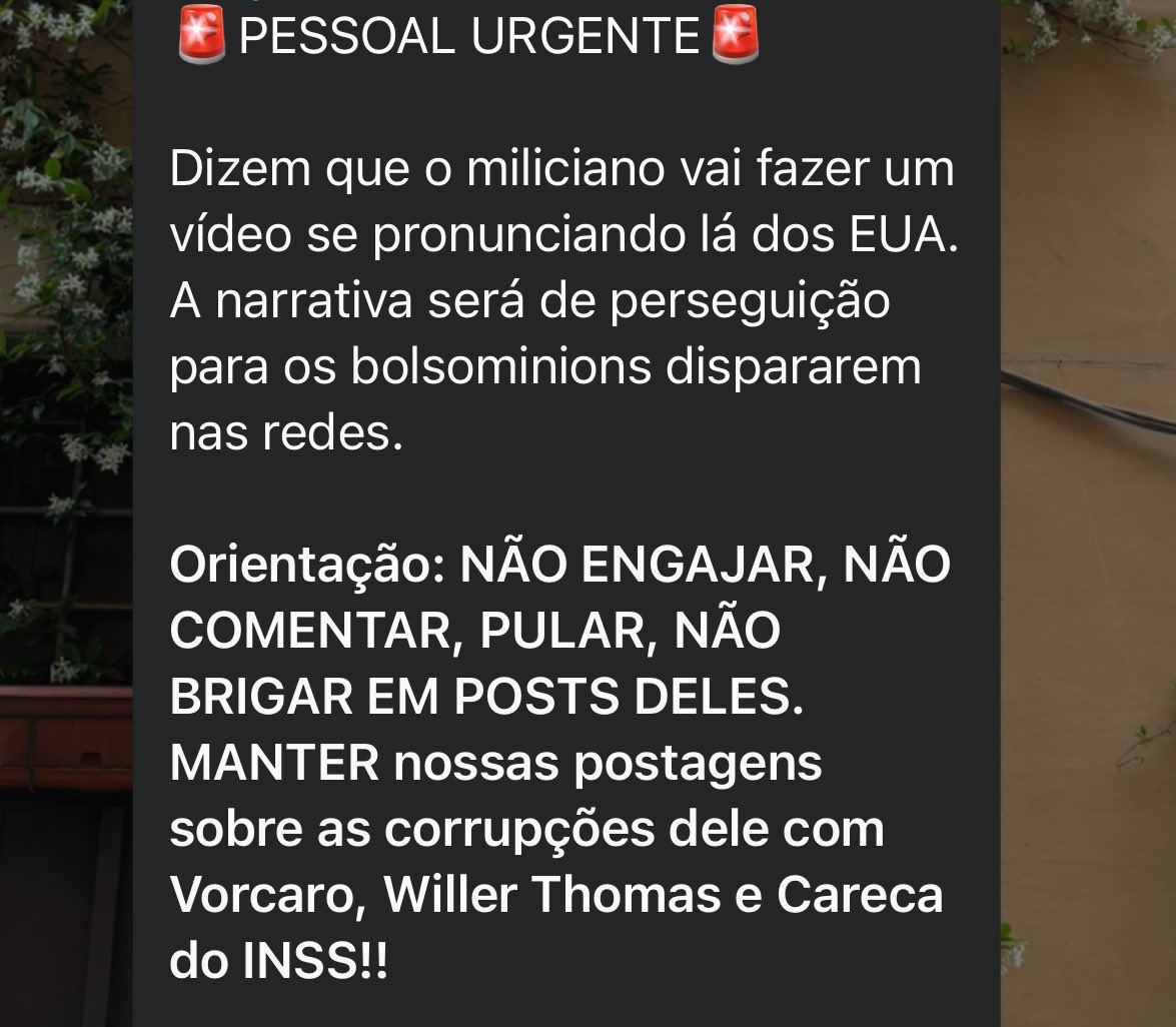 aelinreader's tweet photo. não engajem #DeportTheBolsonaros https://t.co/VInXf2BQGi
