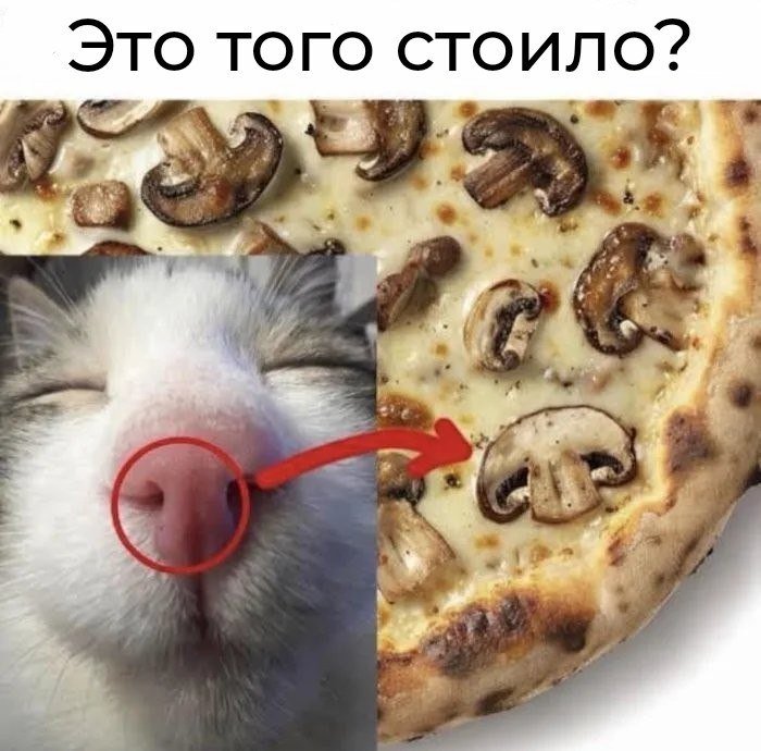 juliamayko's tweet photo. https://t.co/0rZgOXnzrD