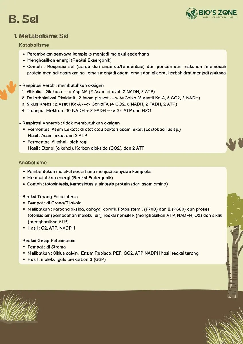 caseyy093's tweet photo. TKA BIOLOGI (rangkuman)

cr : @bioszone on tiktok https://t.co/VIgMq9238t