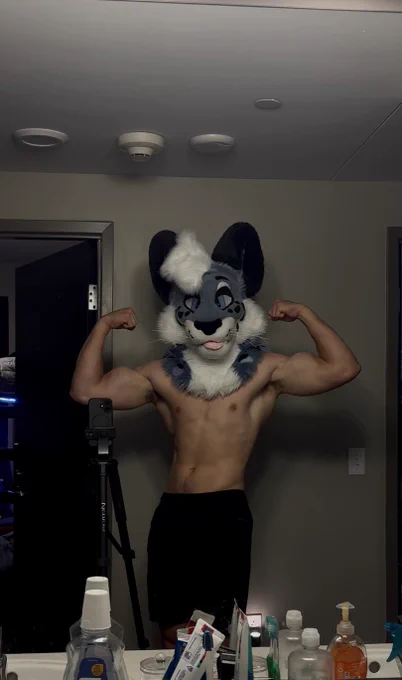 Image from Icepop (@IcepopTheSnep)