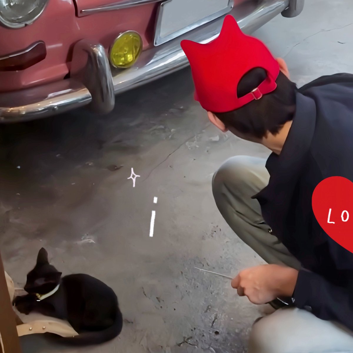 mytomatoboi's tweet photo. มีแมวสองตุวเลยนี่นา 🐈‍⬛~*🍎🪥✿ https://t.co/GqYh584H0t