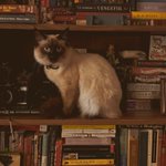 Photo by Librófilos™ (@librofilos)
