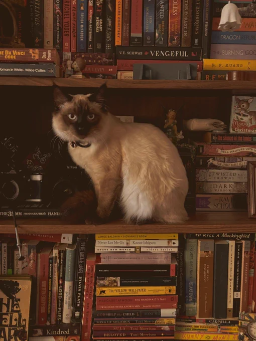 Image from Librófilos™ (@librofilos)