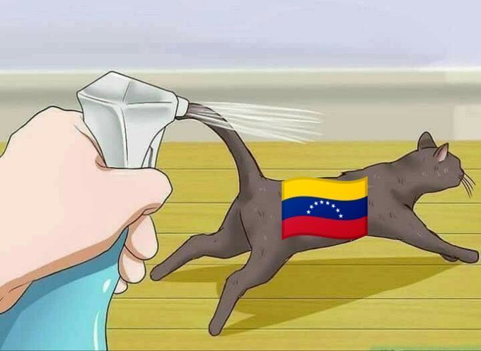 Annai97k's tweet photo. Venezuelano dizendo que a melhor saída para o Brasil é um golpe militar, o infeliz ainda mora no Brasil. Inacreditável! https://t.co/QpTujBz7E5