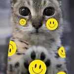 Photo by Smiley Sticker :) (@SmilyStickr)