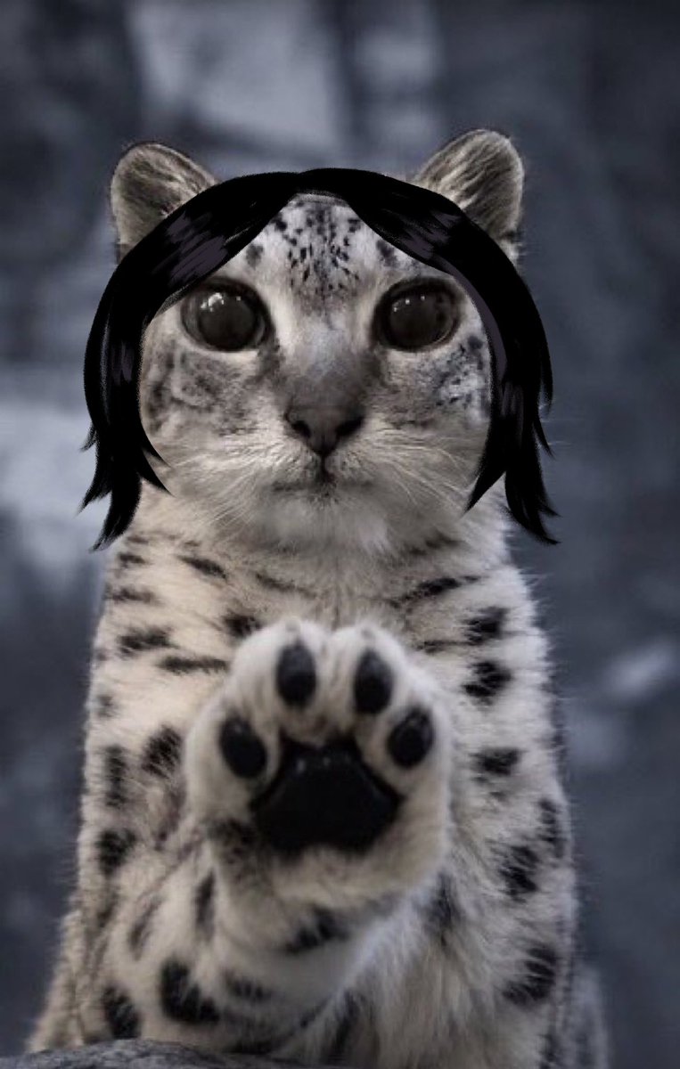 uroczezwloki tweet picture