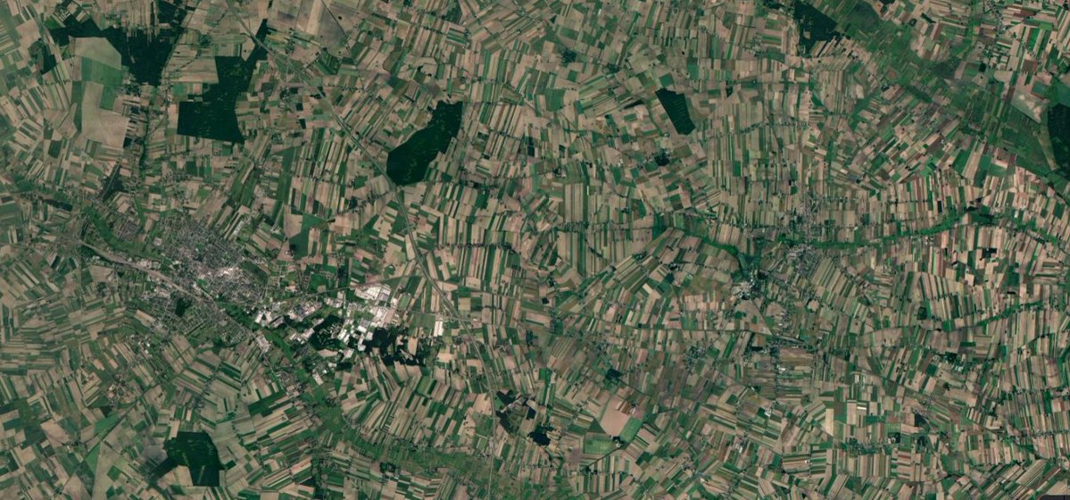 Scan_101's tweet photo. @Camyy_amy_ most of my country is in one way or other developed, there arent really any truly natural lands. Everything is either fields, cities or forests(with most of those being industrial forests for timber production). This, together with a very low number of guns .... https://t.co/Lcx0N66fZ5