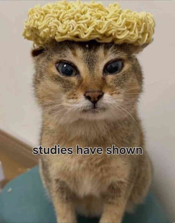 fuzzleflash's tweet photo. scientists reveal the studies have shown https://t.co/SjOlaY4sRa