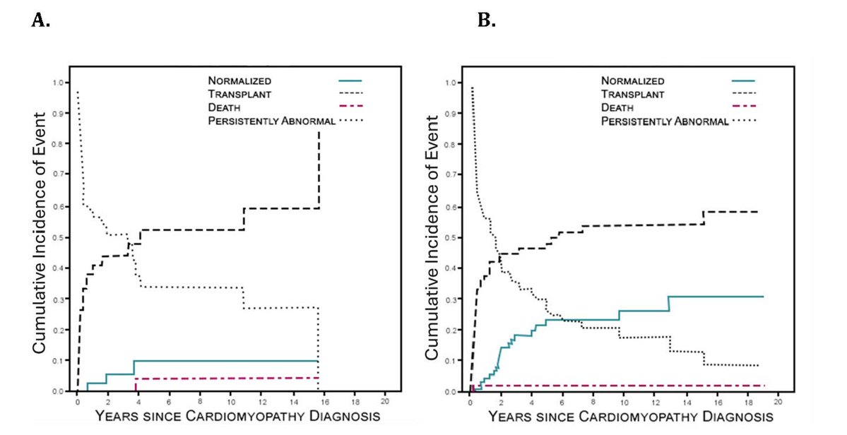 CircHF's tweet photo. Heart failure from dilated cardiomyopathy in children is only partly dependent on known myocardial gene variants @PaulKantor4 @LJM2344 @JtowbinMD @nehban @jeanballweg https://t.co/aoFkuMyNj1 https://t.co/KuspFQyCKi